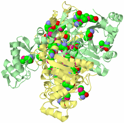 Image Biological Unit 2