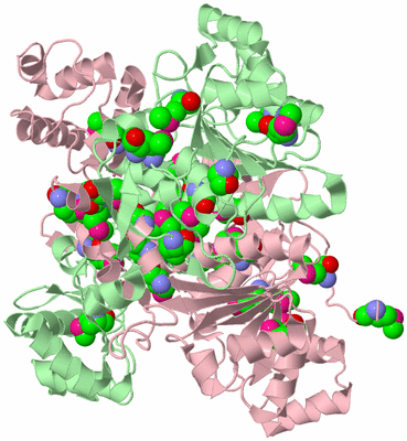 Image Biological Unit 2