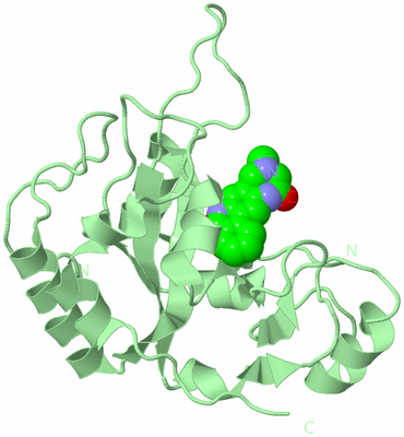 Image Biological Unit 2