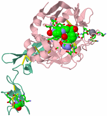 Image Asym./Biol. Unit - sites