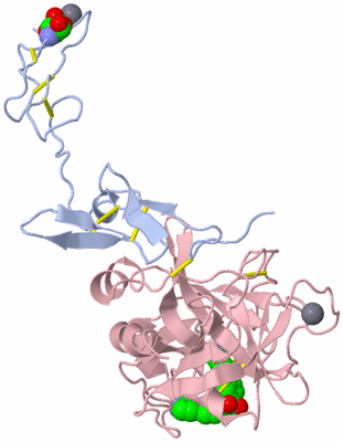 Image Biological Unit 1