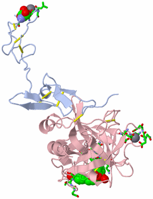 Image Biol. Unit 1 - sites