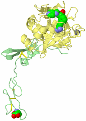 Image Biological Unit 2