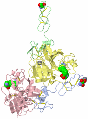 Image Biological Unit 3