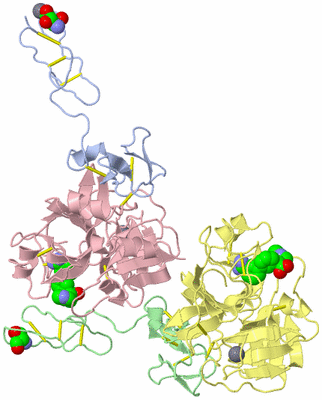 Image Biological Unit 4