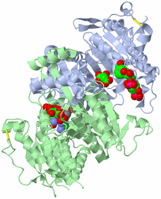 Image Asym./Biol. Unit