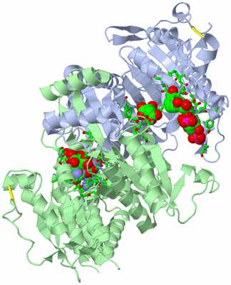 Image Asym./Biol. Unit - sites