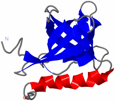 Image NMR Structure - model 1