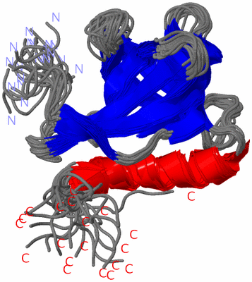 Image NMR Structure - all models