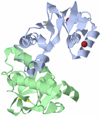 Image Biological Unit 1