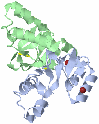 Image Biological Unit 2