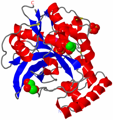 Image Asym./Biol. Unit