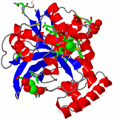 Image Asym./Biol. Unit - sites