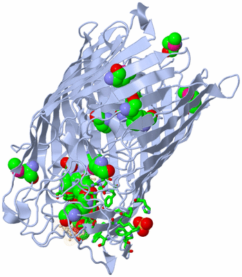 Image Biol. Unit 1 - sites