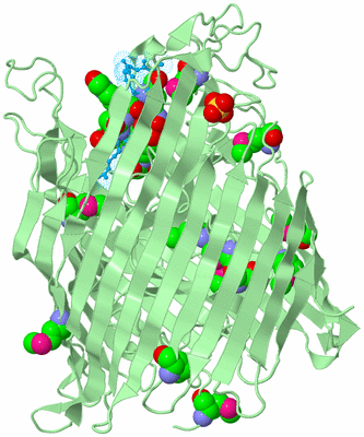 Image Biological Unit 2