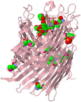 Image Biological Unit 3