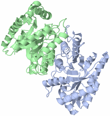 Image Asym./Biol. Unit