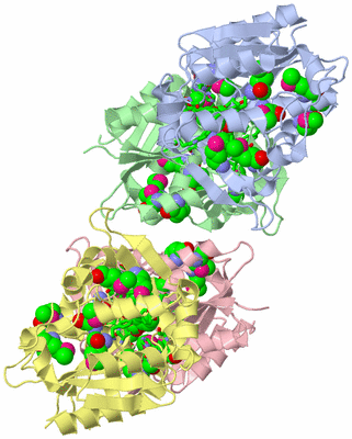 Image Asym./Biol. Unit - sites