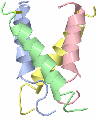 Image NMR Structure - model 1