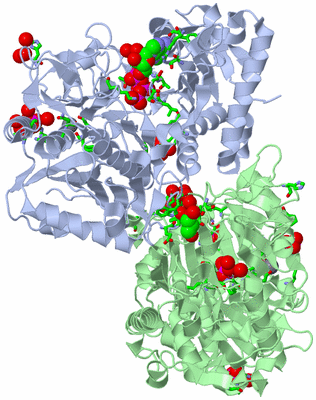 Image Asym./Biol. Unit - sites