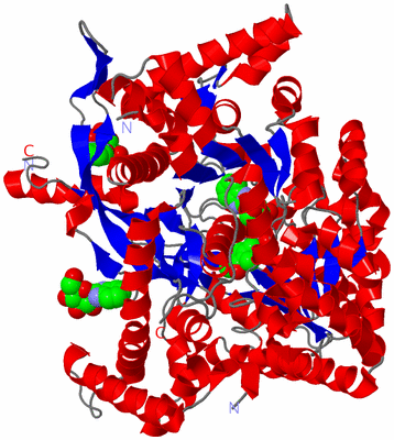 Image Asym./Biol. Unit