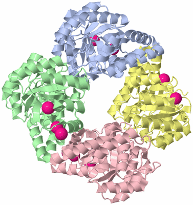 Image Asym./Biol. Unit