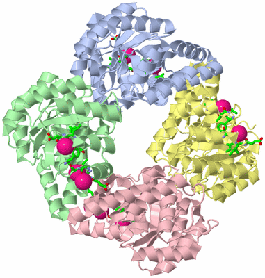 Image Asym./Biol. Unit - sites