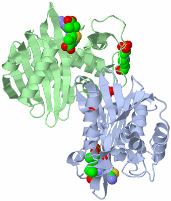 Image Biological Unit 1