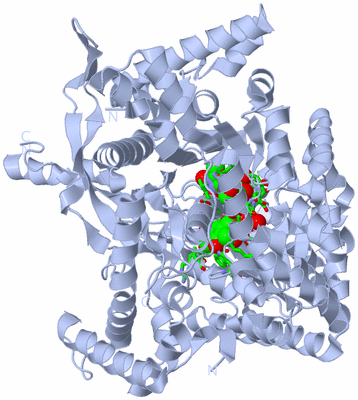 Image Biol. Unit 1 - sites