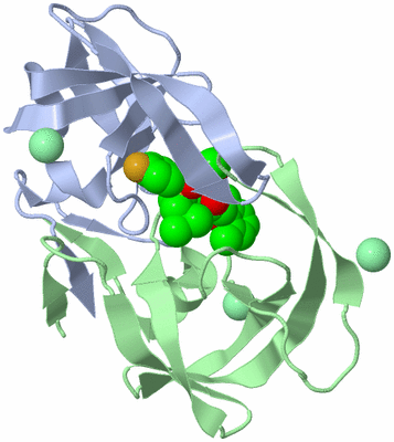 Image Asym./Biol. Unit