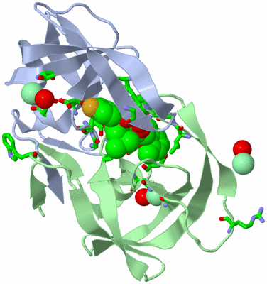 Image Asym./Biol. Unit - sites