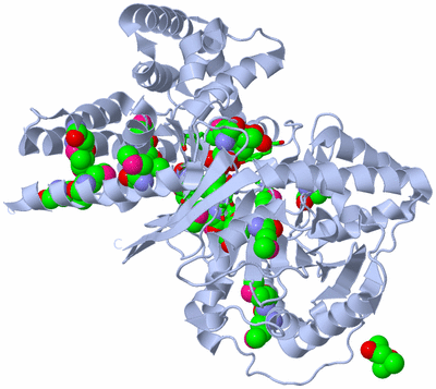 Image Biol. Unit 1 - sites