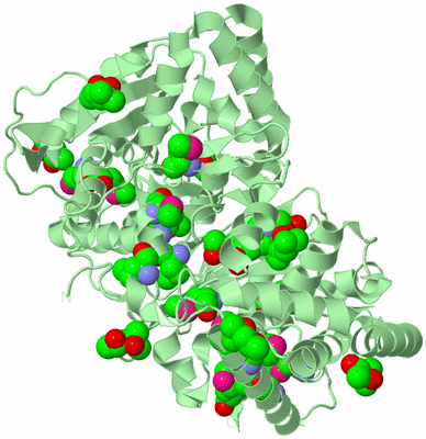 Image Biological Unit 2