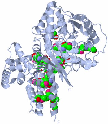 Image Biol. Unit 1 - sites