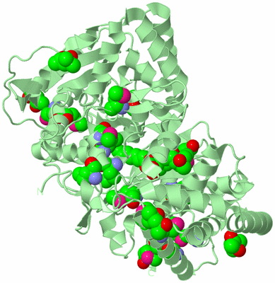 Image Biological Unit 2