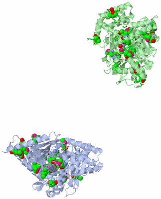 Image Asym. Unit - sites