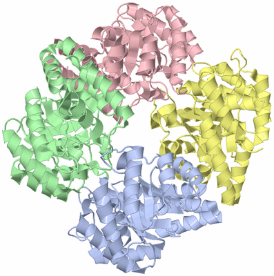 Image Asym./Biol. Unit