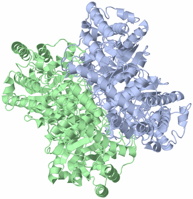 Image Biological Unit 1