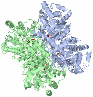 Image Biological Unit 1