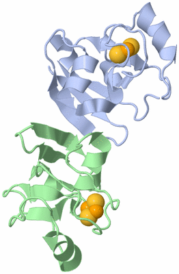 Image Asymmetric Unit