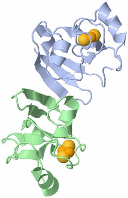 Image Asymmetric Unit