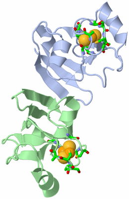 Image Asym. Unit - sites