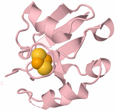 Image Biological Unit 3