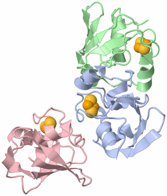 Image Asymmetric Unit