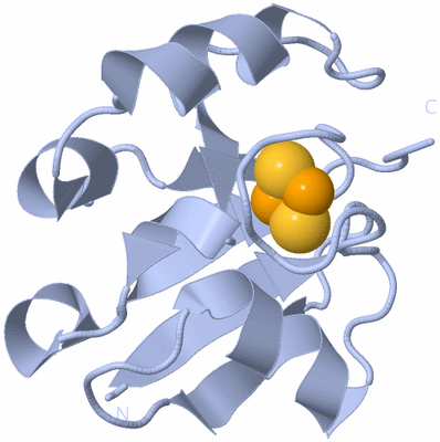 Image Biological Unit 1