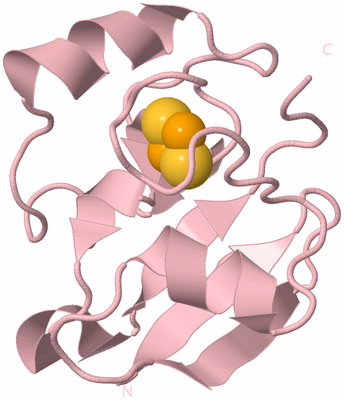 Image Biological Unit 3