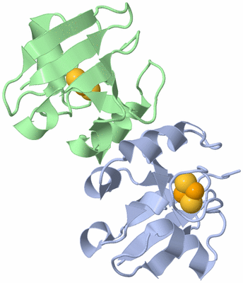 Image Biological Unit 4