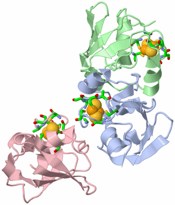 Image Asym. Unit - sites