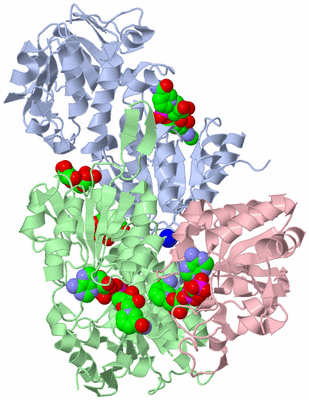 Image Biological Unit 1