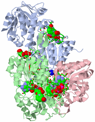 Image Biol. Unit 1 - sites